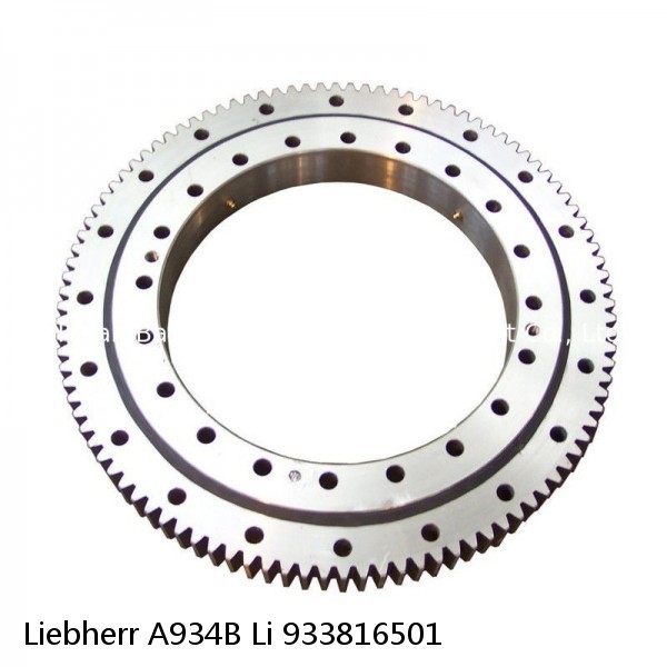 933816501 Liebherr A934B Li Slewing Ring