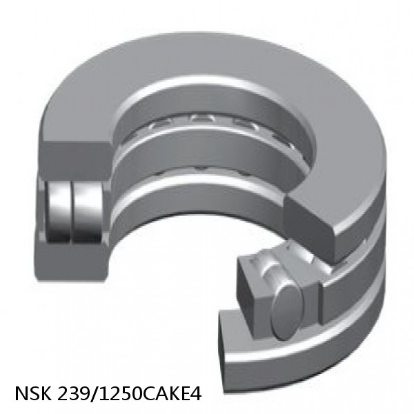 239/1250CAKE4 NSK Spherical Roller Bearing