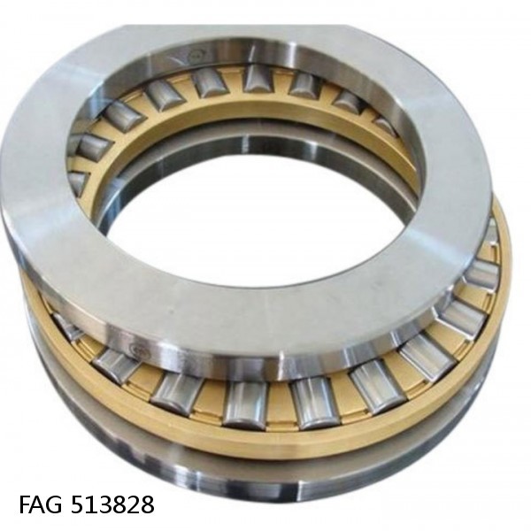 FAG 513828 DOUBLE ROW TAPERED THRUST ROLLER BEARINGS #1 small image