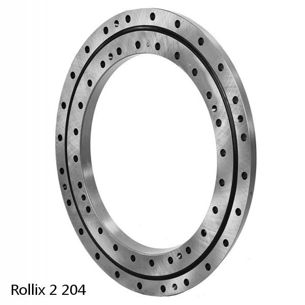 2 204 Rollix Slewing Ring Bearings