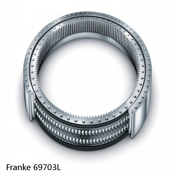 69703L Franke Slewing Ring Bearings