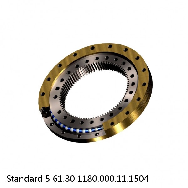61.30.1180.000.11.1504 Standard 5 Slewing Ring Bearings #1 small image