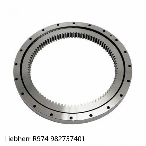 982757401 Liebherr R974 Slewing Ring #1 small image