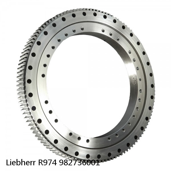 982736001 Liebherr R974 Slewing Ring #1 small image