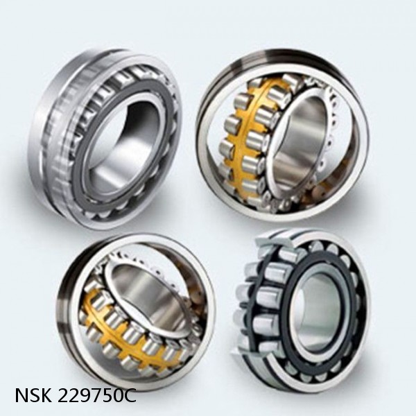 229750C NSK Railway Rolling Spherical Roller Bearings