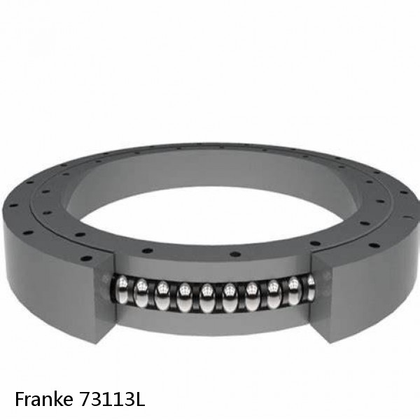 73113L Franke Slewing Ring Bearings #1 image
