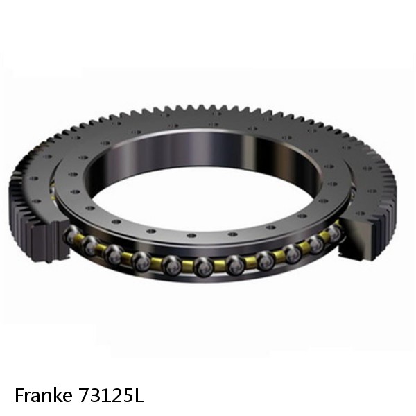 73125L Franke Slewing Ring Bearings #1 image