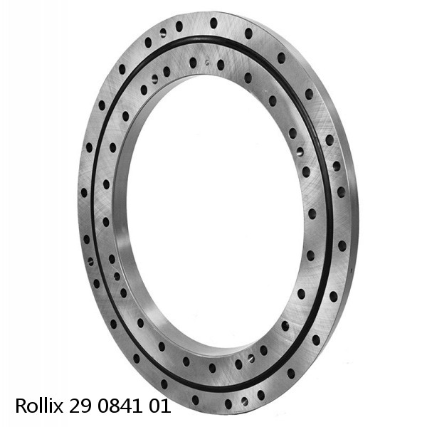 29 0841 01 Rollix Slewing Ring Bearings #1 image