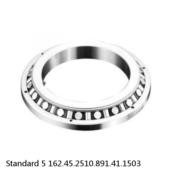 162.45.2510.891.41.1503 Standard 5 Slewing Ring Bearings #1 image