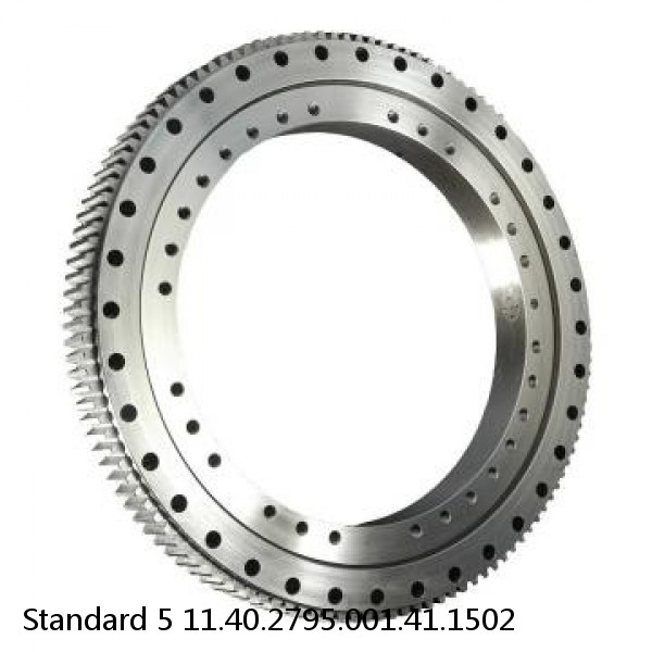 11.40.2795.001.41.1502 Standard 5 Slewing Ring Bearings #1 image