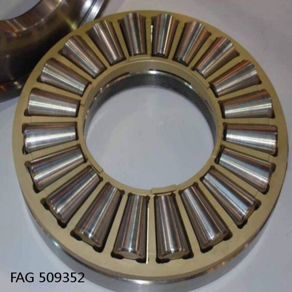 FAG 509352 DOUBLE ROW TAPERED THRUST ROLLER BEARINGS #1 image
