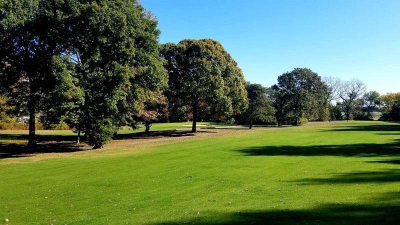 Rye overseeding creates lush green fairways during cooler golf seasons.