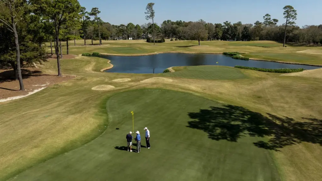 Beginner golfers play short par-3 courses during their first rounds.