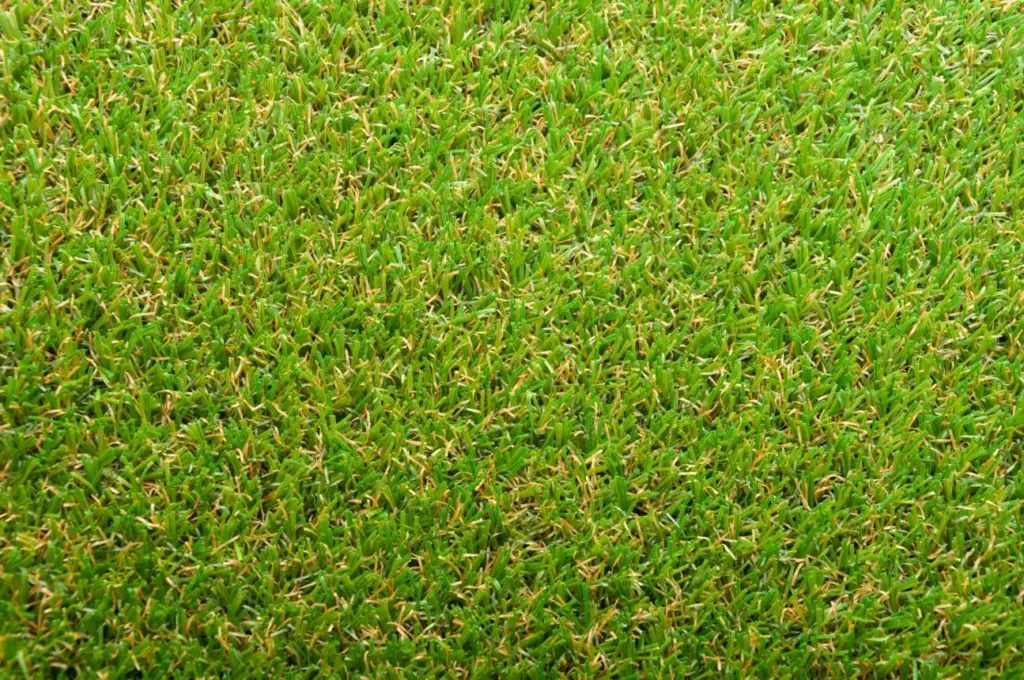Bermuda grass creates fast and grainy conditions on southern golf courses.